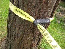 kupować Zastosowany równoważnik poliestrowy sznurowy pas do chodzenia do sportów na świeżym powietrzu online manufacture